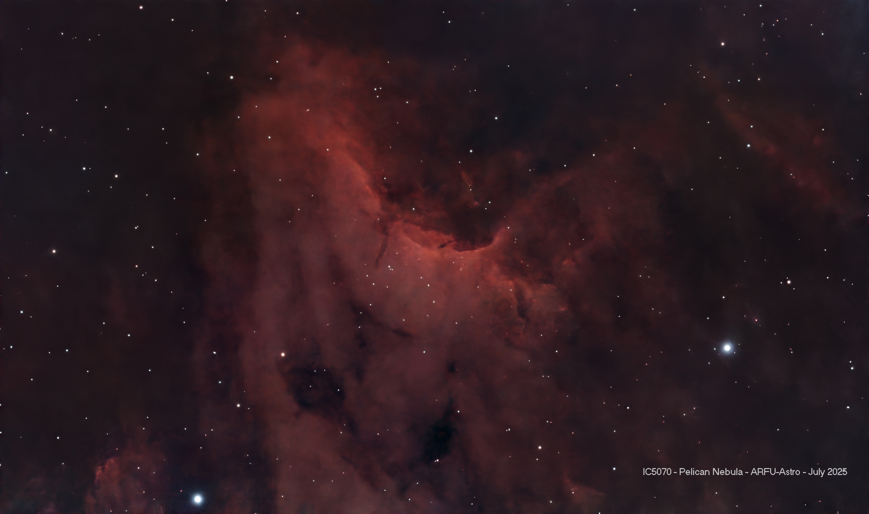 Nebulosa Pelícano